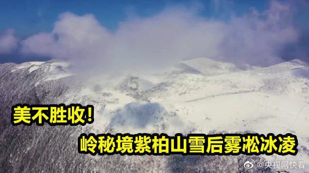 吃鸡模拟器