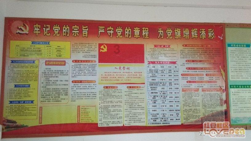 武磊5年来首次替补，你支持扬帅的决定吗