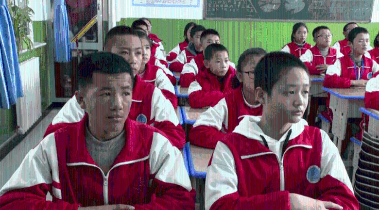 速滑世界杯盐湖城站混合接力项目，中国队获得金牌